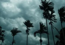 ਪੰਜਾਬ ਵਿਚ 3 ਦਿਨ ਭਾਰੀ ਮੀਂਹ-ਤੂਫਾਨ, ਇਨ੍ਹਾਂ ਜ਼ਿਲ੍ਹਿਆਂ ਵਿਚ ਲੋਕਾਂ ਨੂੰ ਕੀਤਾ ਅਲਰਟ…