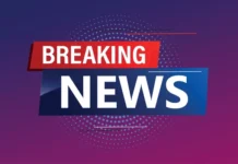 ਕੈਂਸਰ ਦੀ ਦੁਨੀਆ ਵਿੱਚ ਵੱਡੀ ਖੋਜ: Scientists ਨੂੰ ਮਿਲਿਆ Natural killer, ਕੀਮੋ ਤੋਂ ਵੀ ਜ਼ਿਆਦਾ ਅਸਰਦਾਰ!