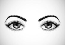 ਅੱਖਾਂ ਦੀ ਰੌਸ਼ਨੀ ਵਧਾਉਣ ਲਈ ਬੈਸਟ ਹਨ ਇਹ 5 ਭੋਜਨ, ਐਨਕਾਂ ਦਾ ਨੰਬਰ ਕਰ ਸਕਦੇ ਹਨ ਘੱਟ! ਸੁਆਦ ਵੀ ਸ਼ਾਨਦਾਰ