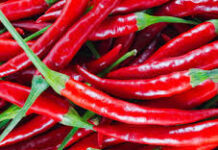 ਭਾਰ ਘਟਾਉਣ ਤੋਂ ਲੈ ਕੇ ਦਿਲ ਦੀ ਦੇਖਭਾਲ ਤੱਕ, ਲਾਲ ਮਿਰਚ ਹੈ ਸਿਹਤ ਦਾ ਖਜ਼ਾਨਾ