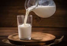 Milk Price Drop: 22 ਸਤੰਬਰ ਤੋਂ ਸਸਤਾ ਹੋਵੇਗਾ ਦੁੱਧ, ਪੜ੍ਹੋ ਪੂਰੀ ਜਾਣਕਾਰੀ