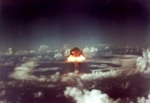 Bomb Blast ਨਾਲ ਦੇਸ਼ ਨੂੰ ਦਹਿਲਾਉਣ ਦੀ ਸਾਜ਼ਿਸ਼ ਨਾਕਾਮ, ਪੁਲਿਸ ਨੇ ਕਾਬੂ ਕੀਤੇ IS ਦੇ 5 ਅੱਤਵਾਦੀ, IED ਅਤੇ ਹਥਿਆਰ ਬਰਾਮਦ