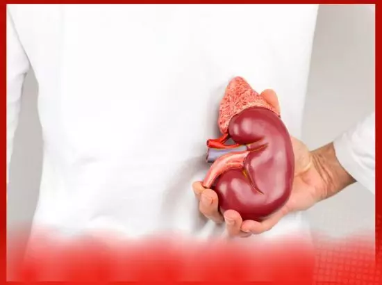 1074302-news-punjabi-2025-10-05t124929110