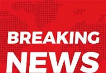 See the level of Gundagardi and no fear of law