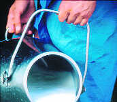 ਕੌੜਾ ਸੱਚ! ਚੰਡੀਗੜ੍ਹ ’ਚ ਦੁੱਧ-ਪਨੀਰ ਦਾ ਹਰ ਤੀਜਾ ਸੈਂਪਲ ਫੇਲ੍ਹ, ਕਿਡਨੀ-ਲਿਵਰ ਫੇਲ੍ਹ ਹੋਣ ਤੇ ਕੈਂਸਰ ਵਰਗੀਆਂ ਬਿਮਾਰੀਆਂ ਦਾ ਖ਼ਤਰਾ