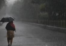 Punjab Weather Update : ਪੰਜਾਬ ’ਚ ਦੋ ਦਿਨ ਪਵੇਗੀ ਸੰਘਣੀ ਧੁੰਦ, 22 ਤੋਂ ਕੁਝ ਜ਼ਿਲ੍ਹਿਆਂ ‘ਚ ਬਾਰਿਸ਼; ਜਲਦ ਹੀ ਠੰਢ ਤੋਂ ਮਿਲੇਗੀ ਕੁਝ ਰਾਹਤ
