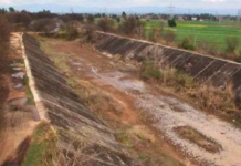 SYL issue: ਭਗਵੰਤ ਮਾਨ ਤੇ ਨਾਇਬ ਸੈਣੀ ਦਰਮਿਆਨ ਅਹਿਮ ਮੀਟਿੰਗ ਅੱਜ